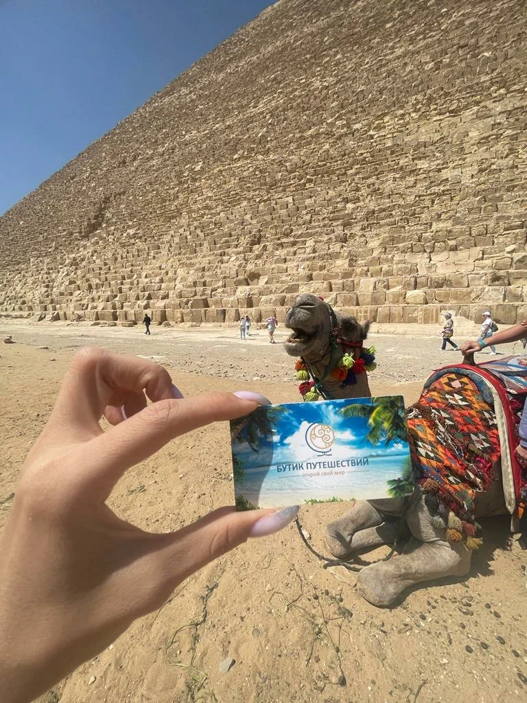 Фото организации