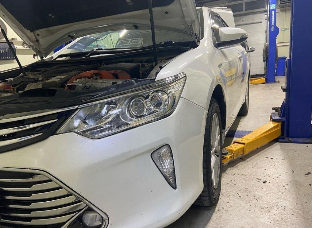 Фото организации