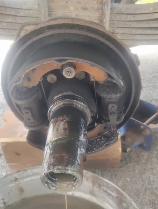 Фото организации