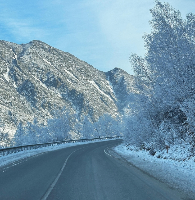 Фото организации