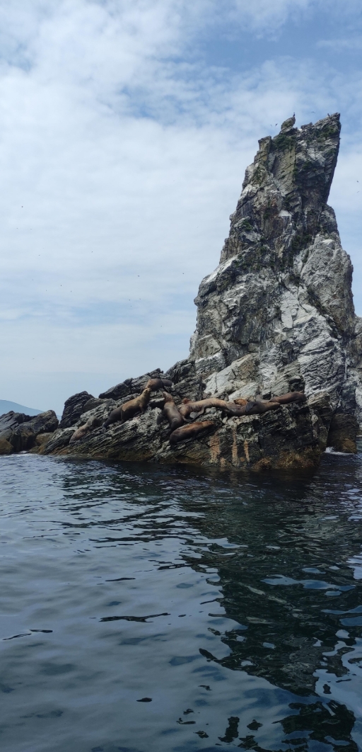 Фото организации