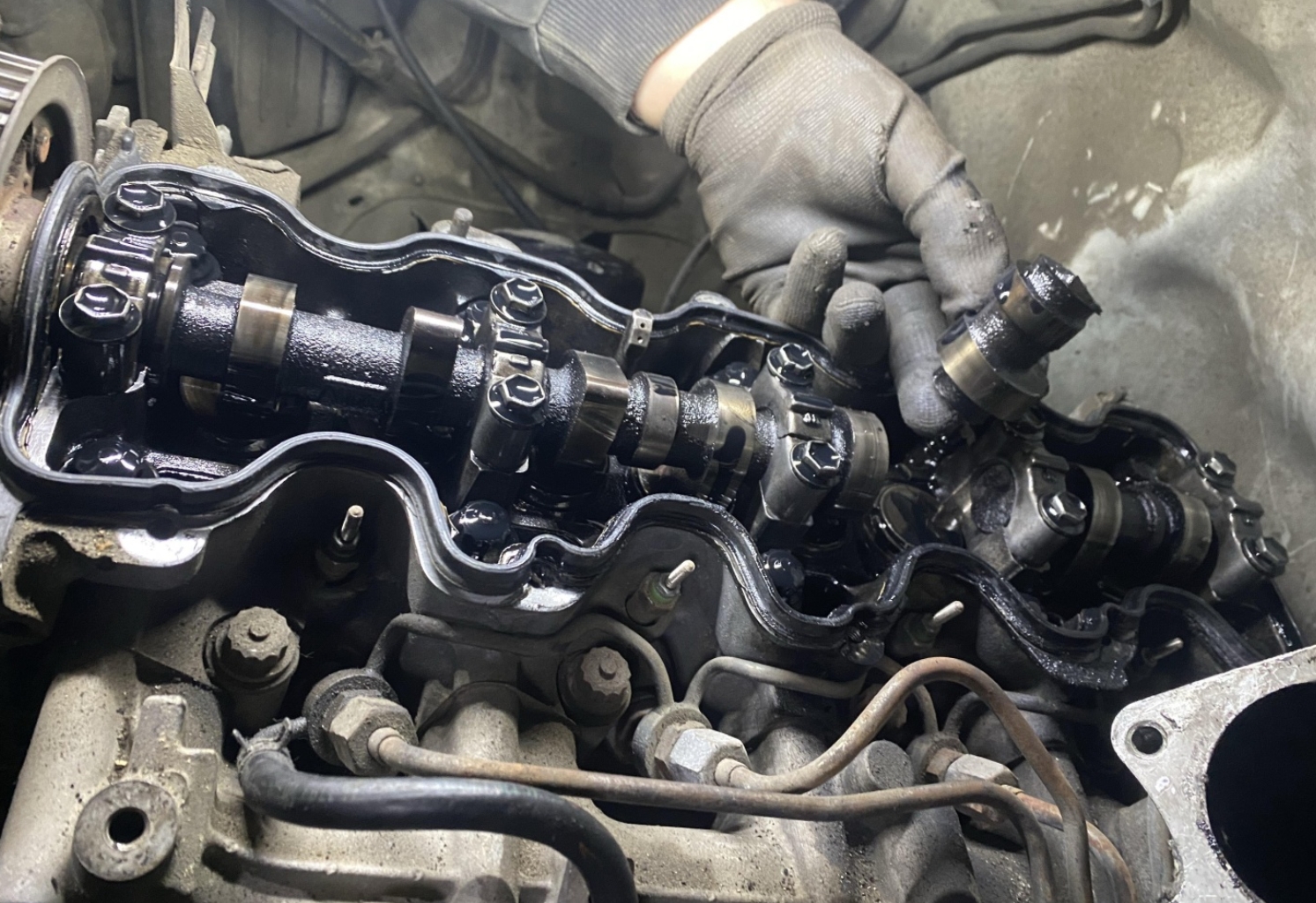 Фото организации