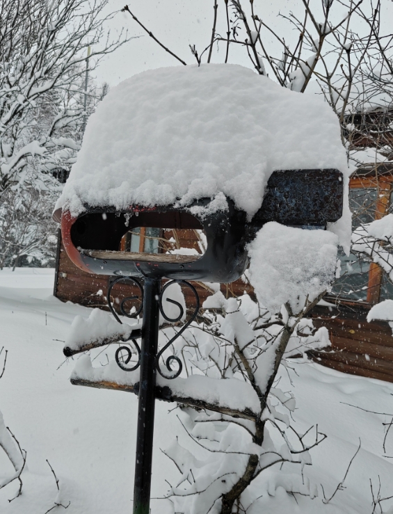 Фото организации