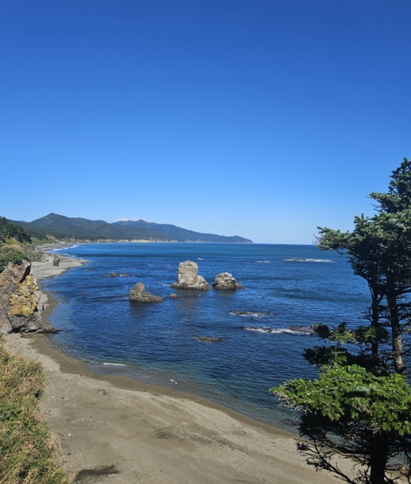 Фото организации