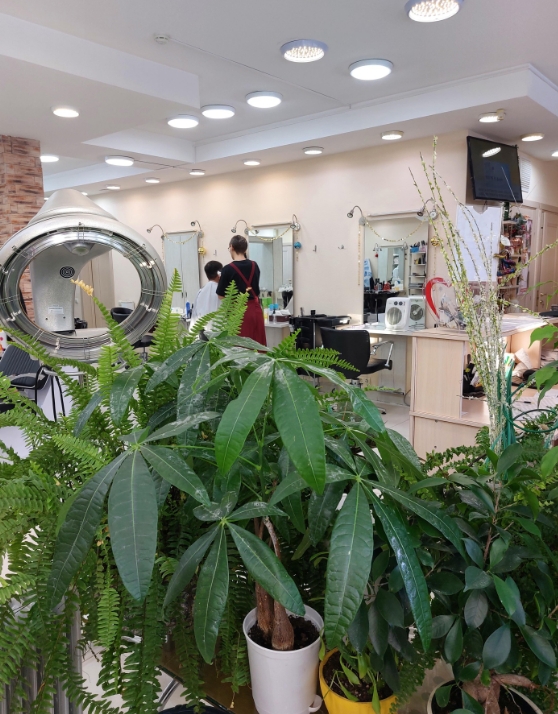 Фото организации