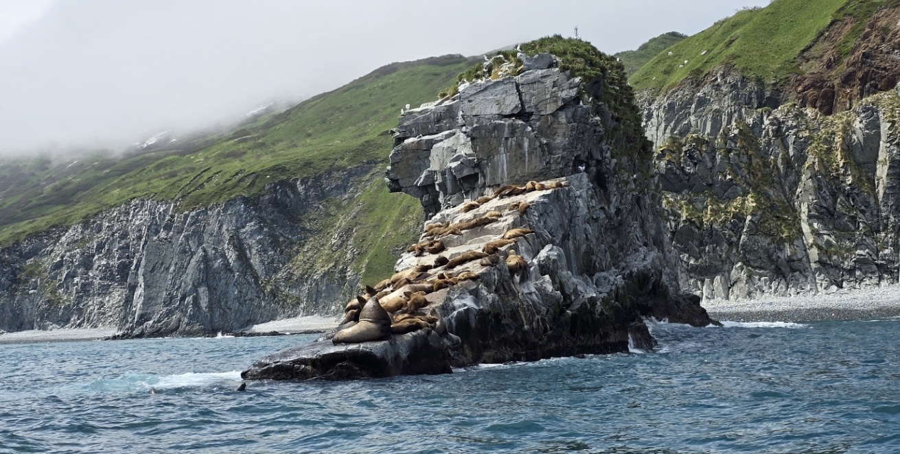 Фото организации