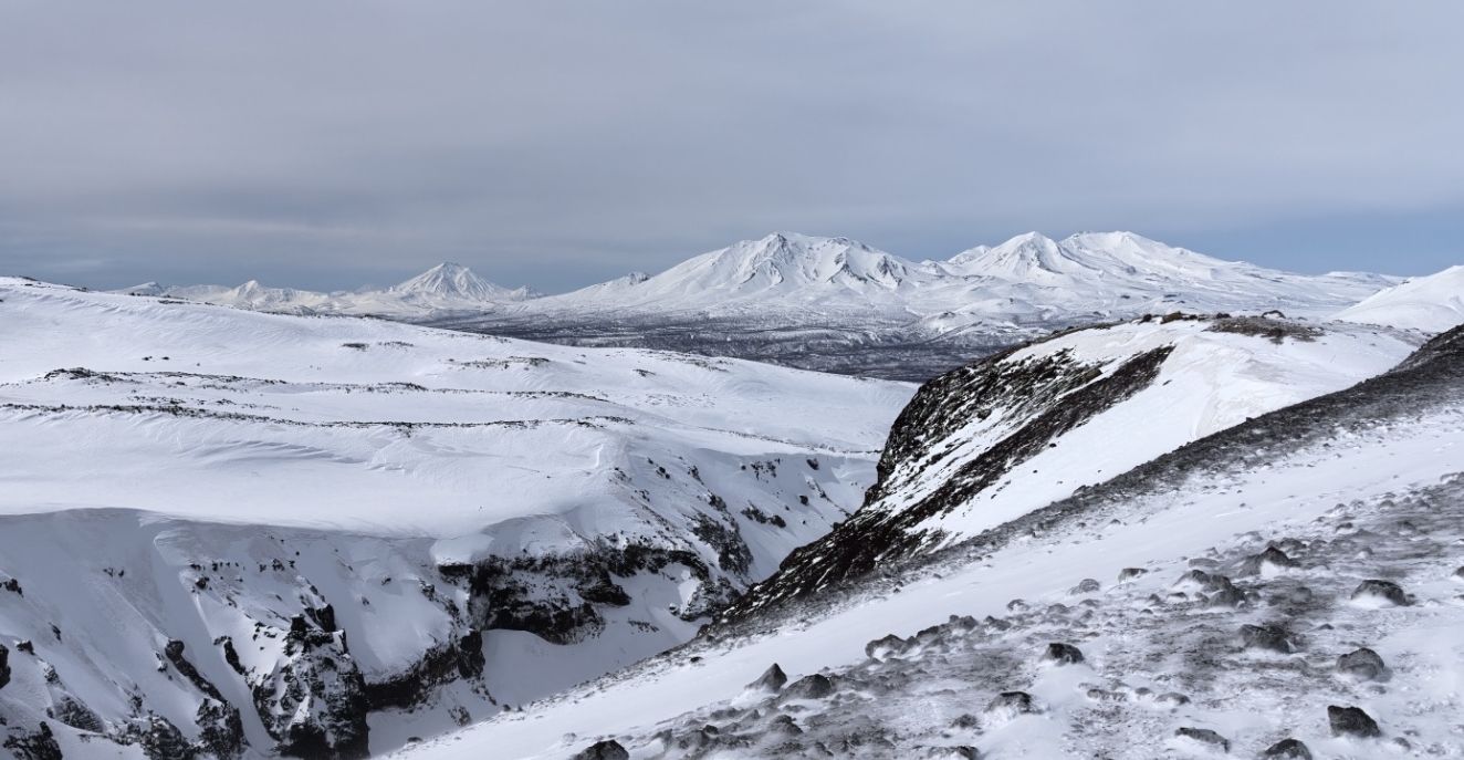 Фото организации