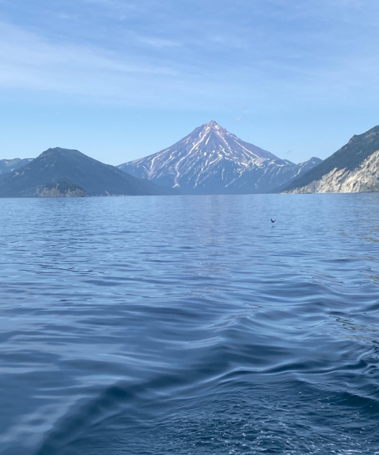 Фото организации