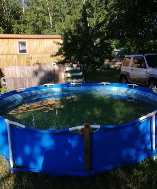 Фото организации