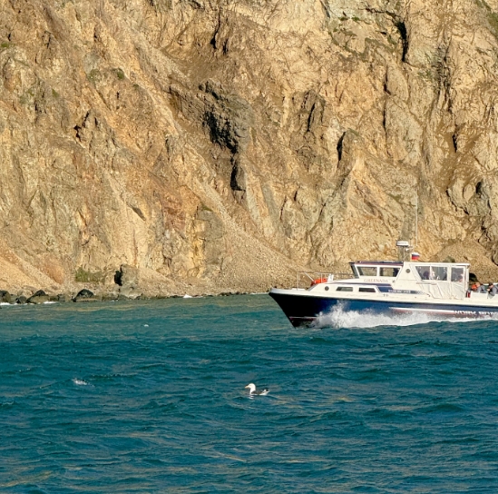 Фото организации