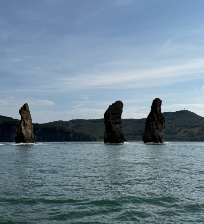 Фото организации