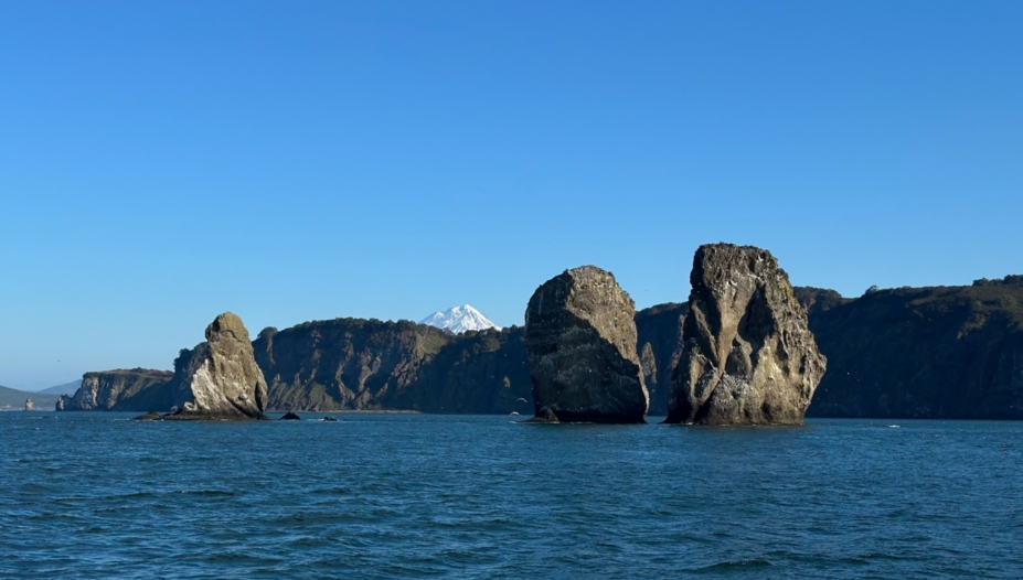 Фото организации