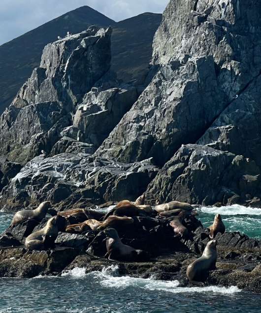 Фото организации