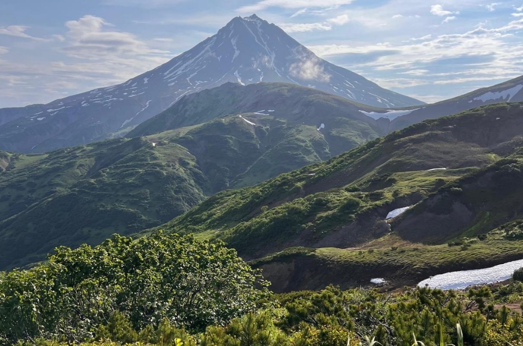 Фото организации