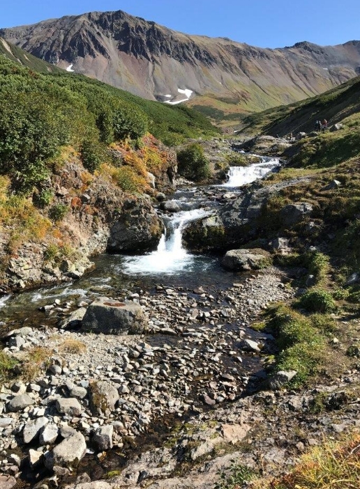 Фото организации