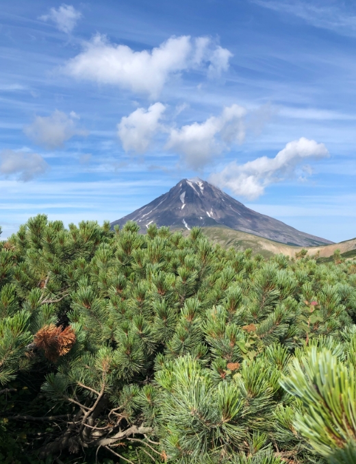 Фото организации
