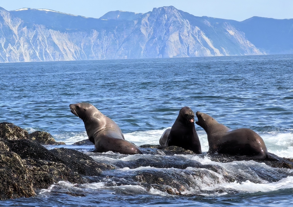 Фото организации