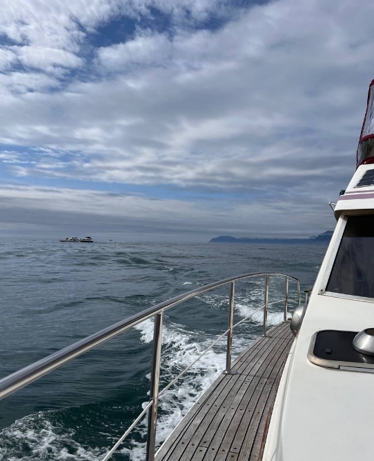 Фото организации