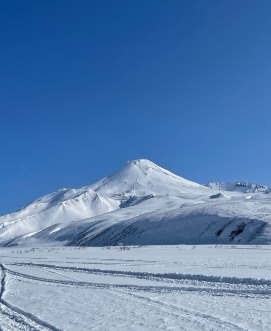 Фото организации