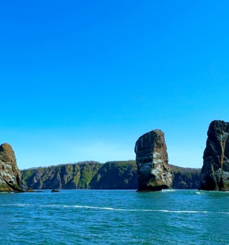 Фото организации