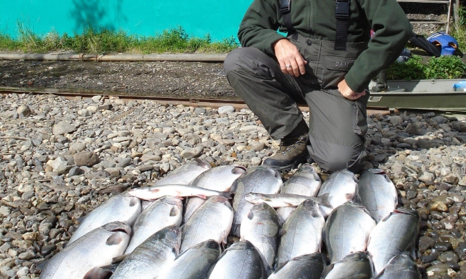 Фото организации