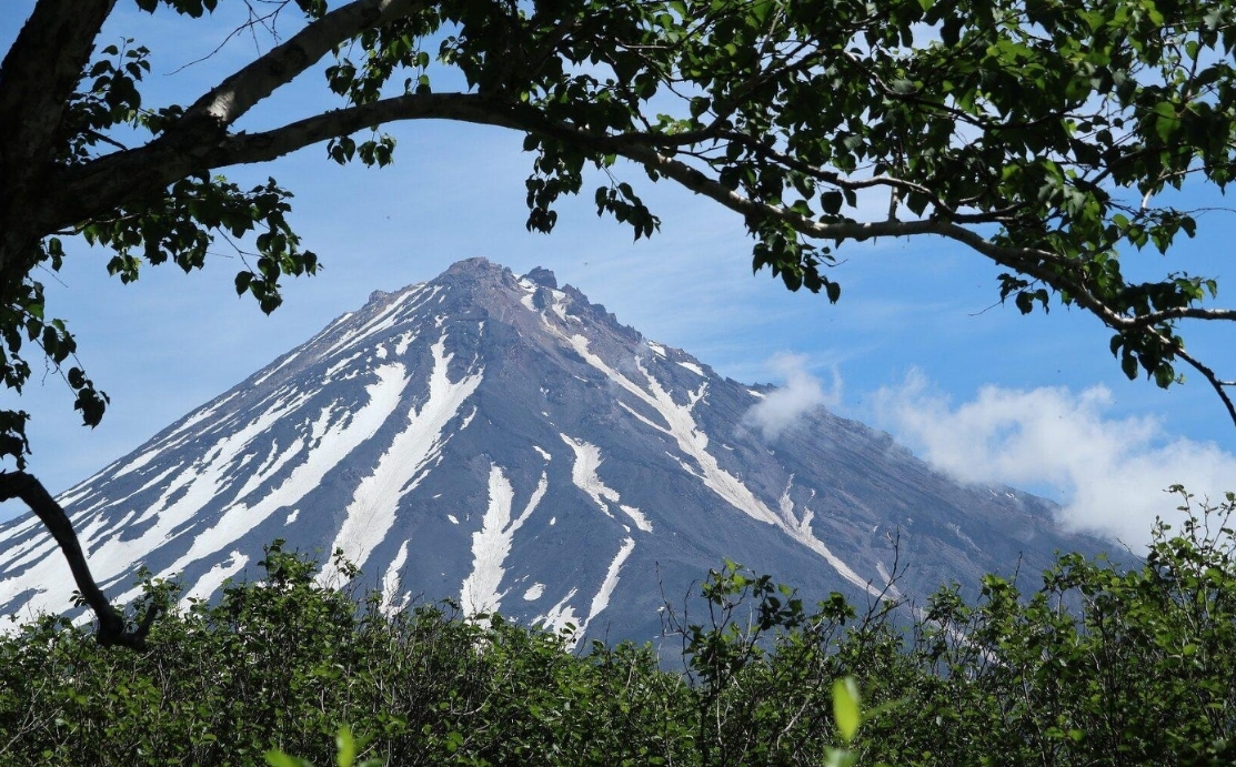 Фото организации