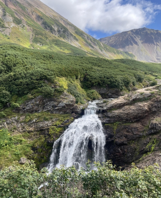 Фото организации