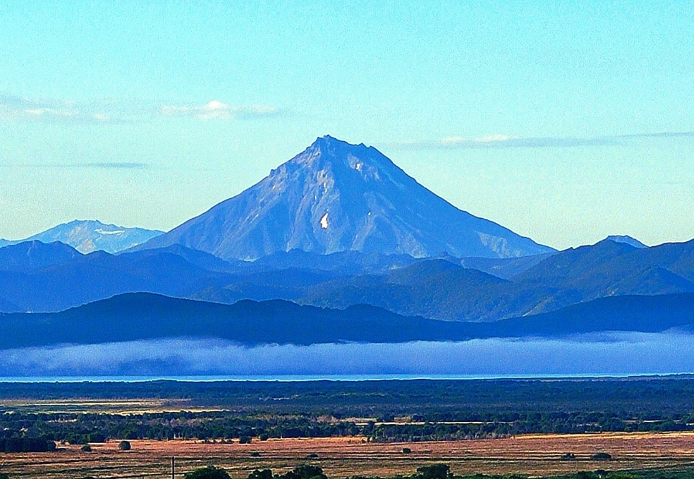 Фото организации