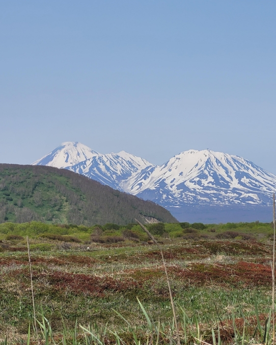 Фото организации
