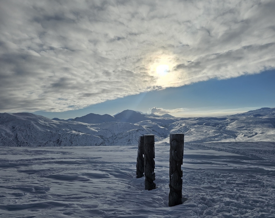 Фото организации