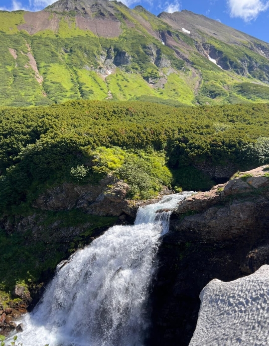 Фото организации