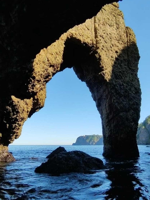 Фото организации