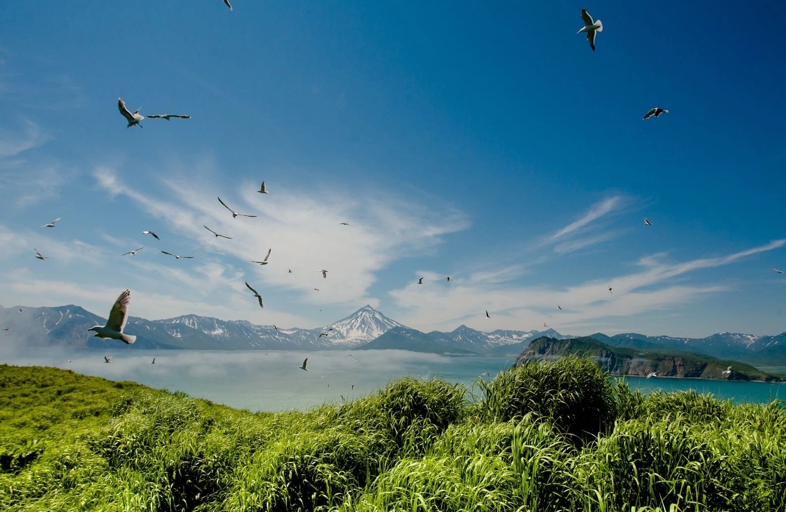 Фото организации