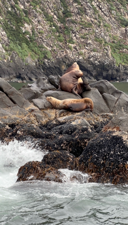 Фото организации