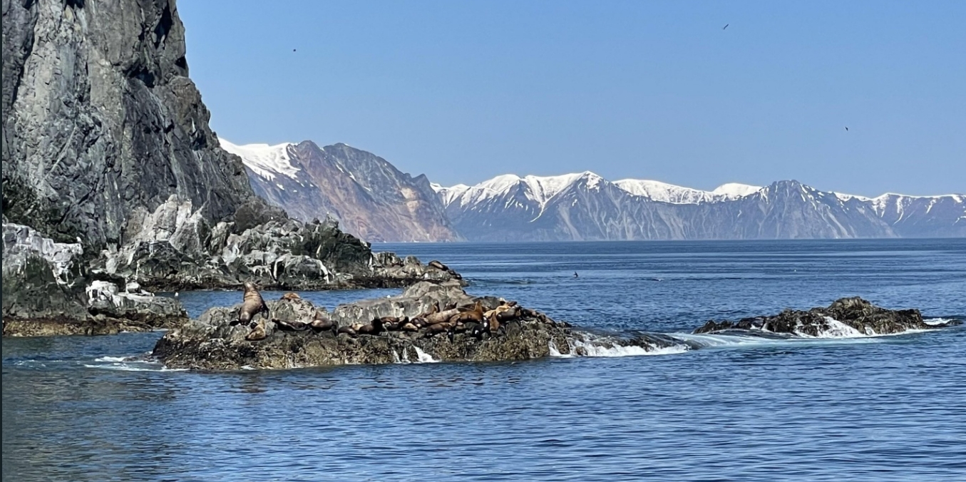 Фото организации