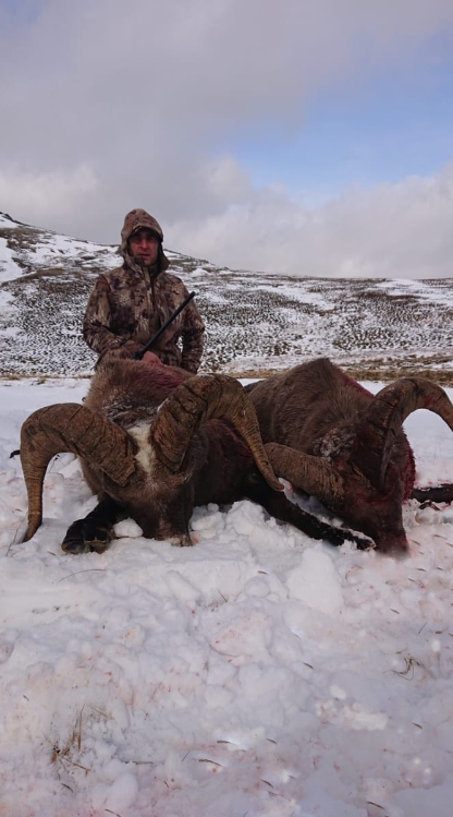 Фото организации