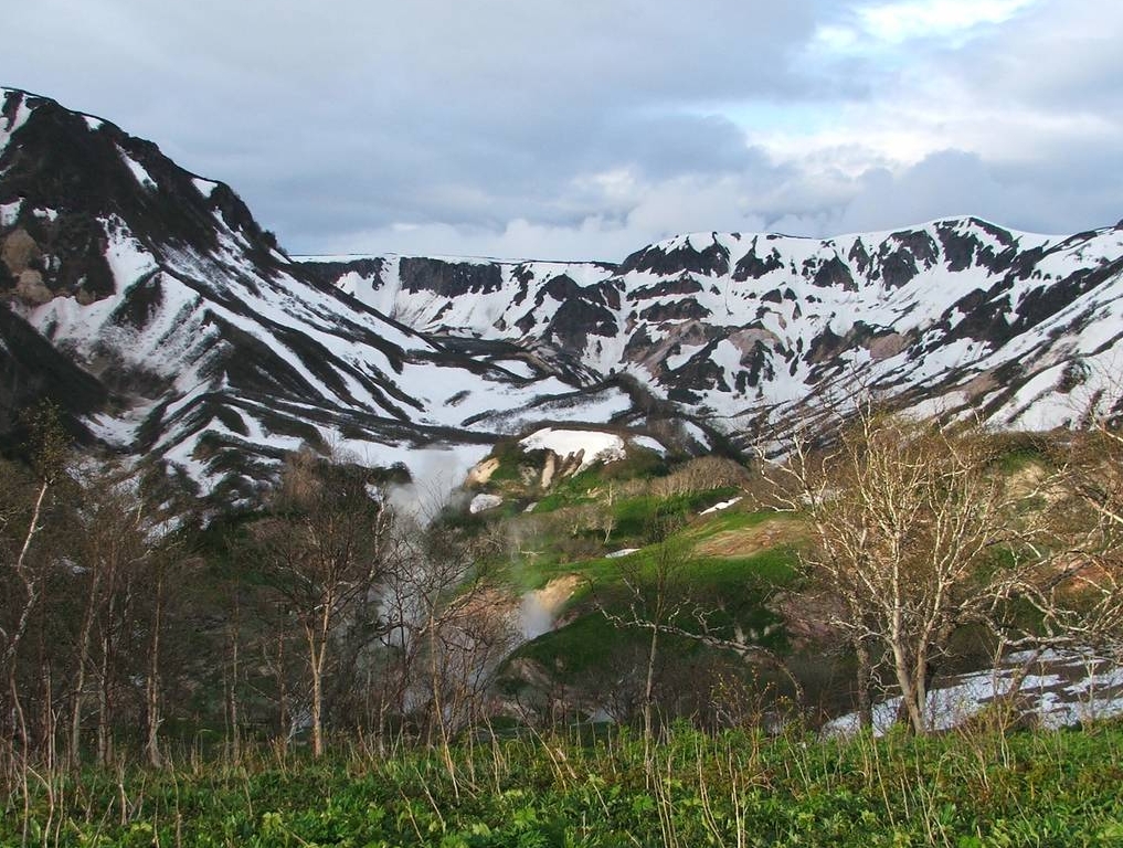 Фото организации