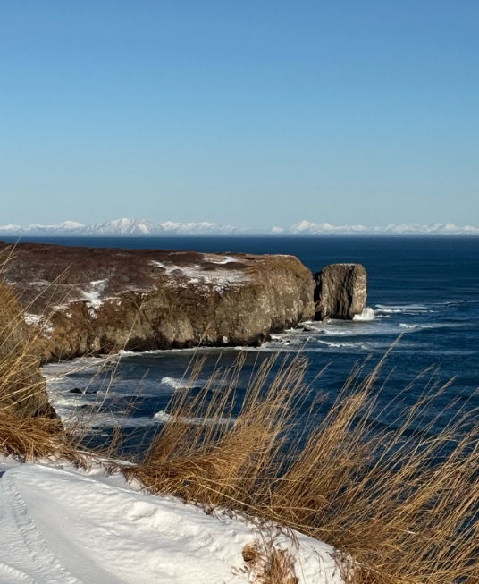 Фото организации