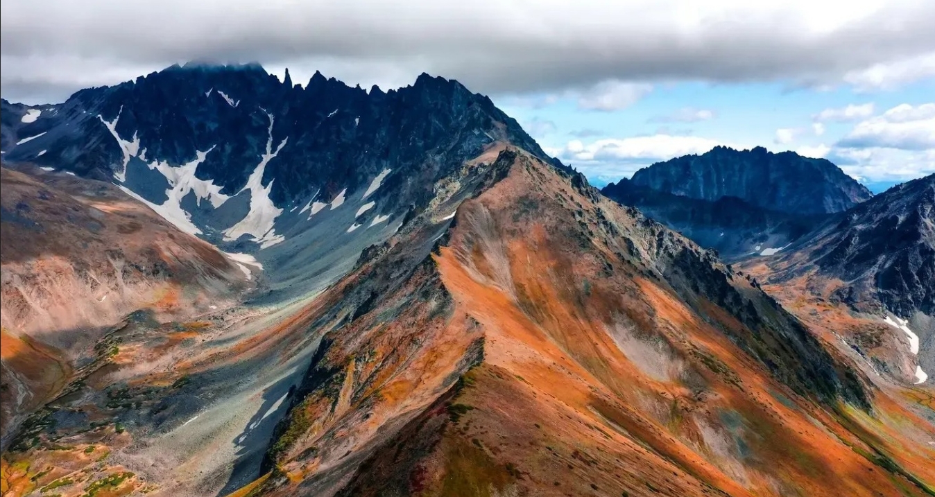 Фото организации