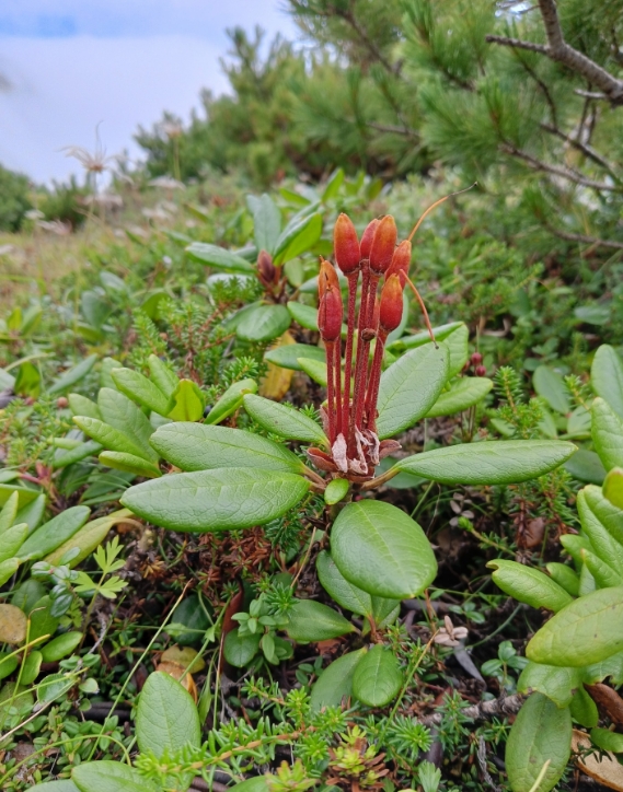 Фото организации