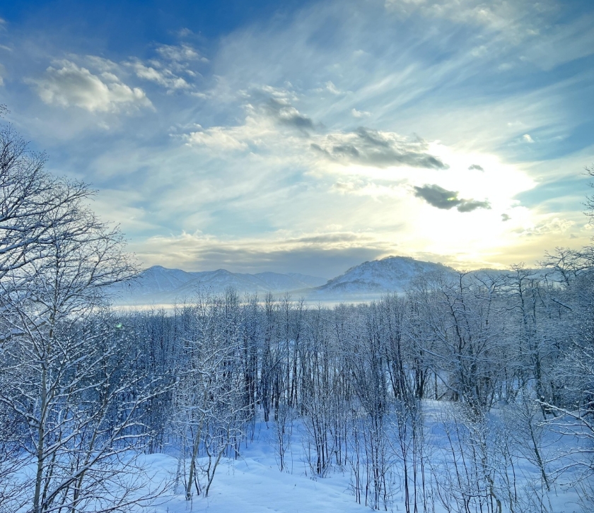 Фото организации