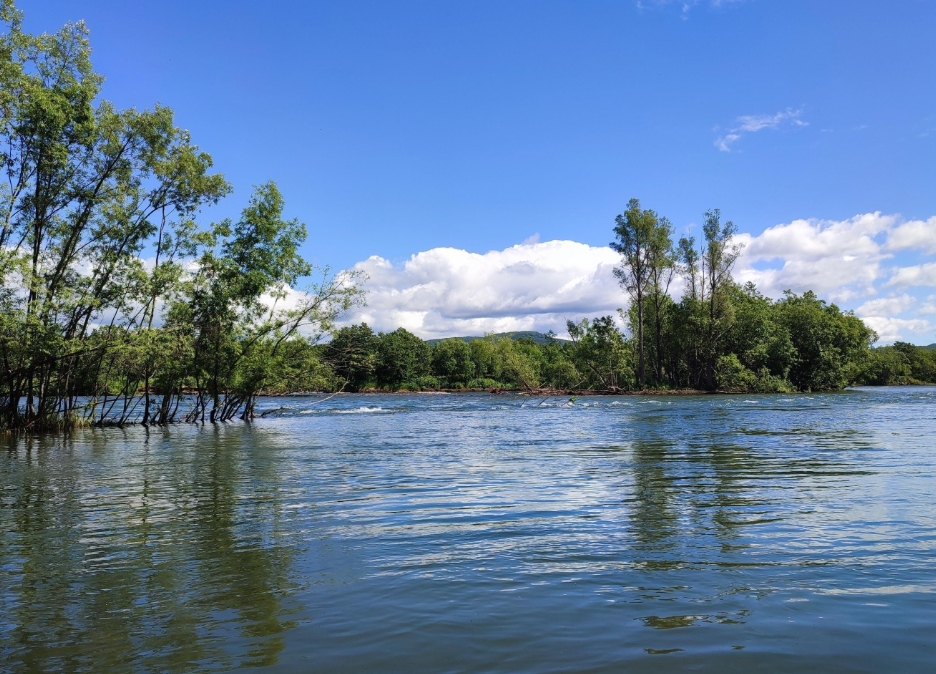 Фото организации