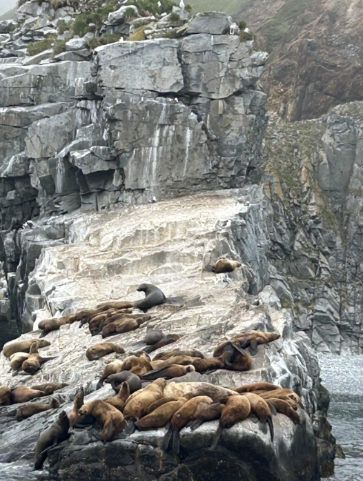 Фото организации