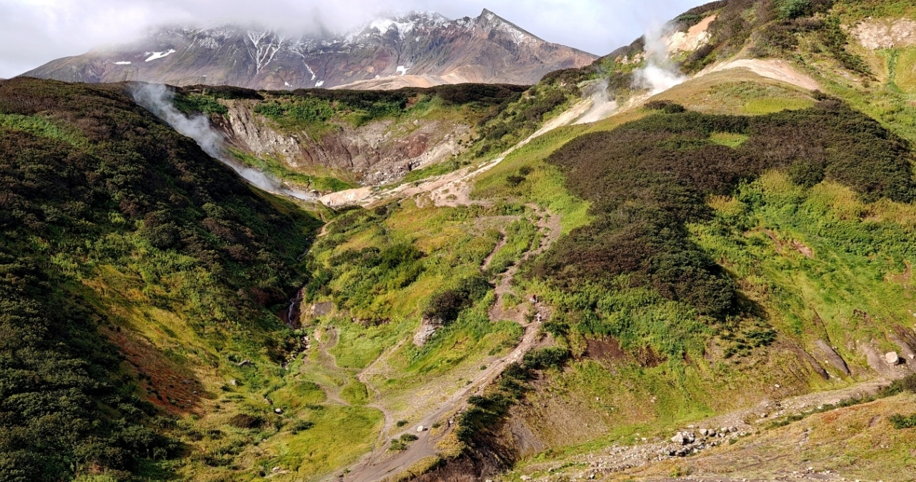 Фото организации