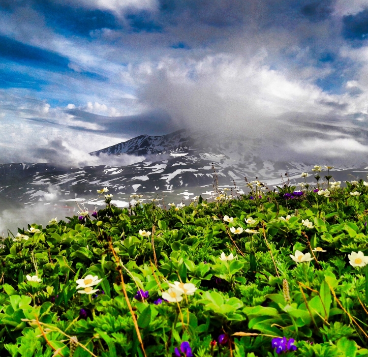 Фото организации