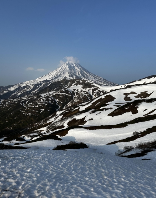 Фото организации