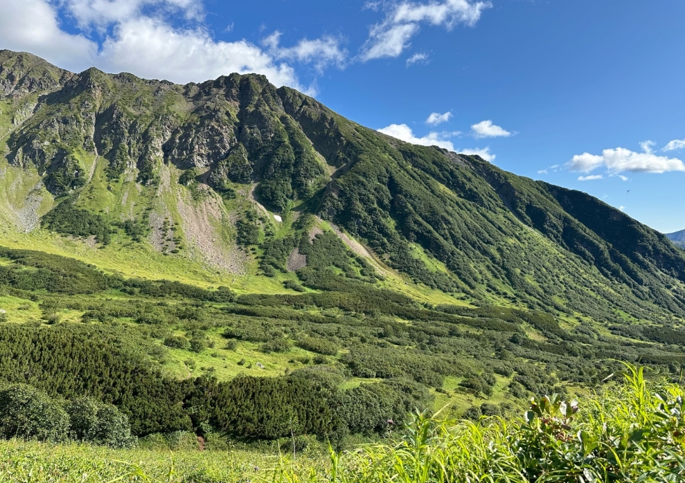 Фото организации