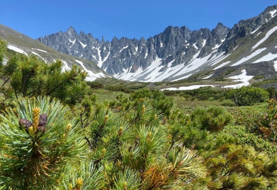 Фото организации