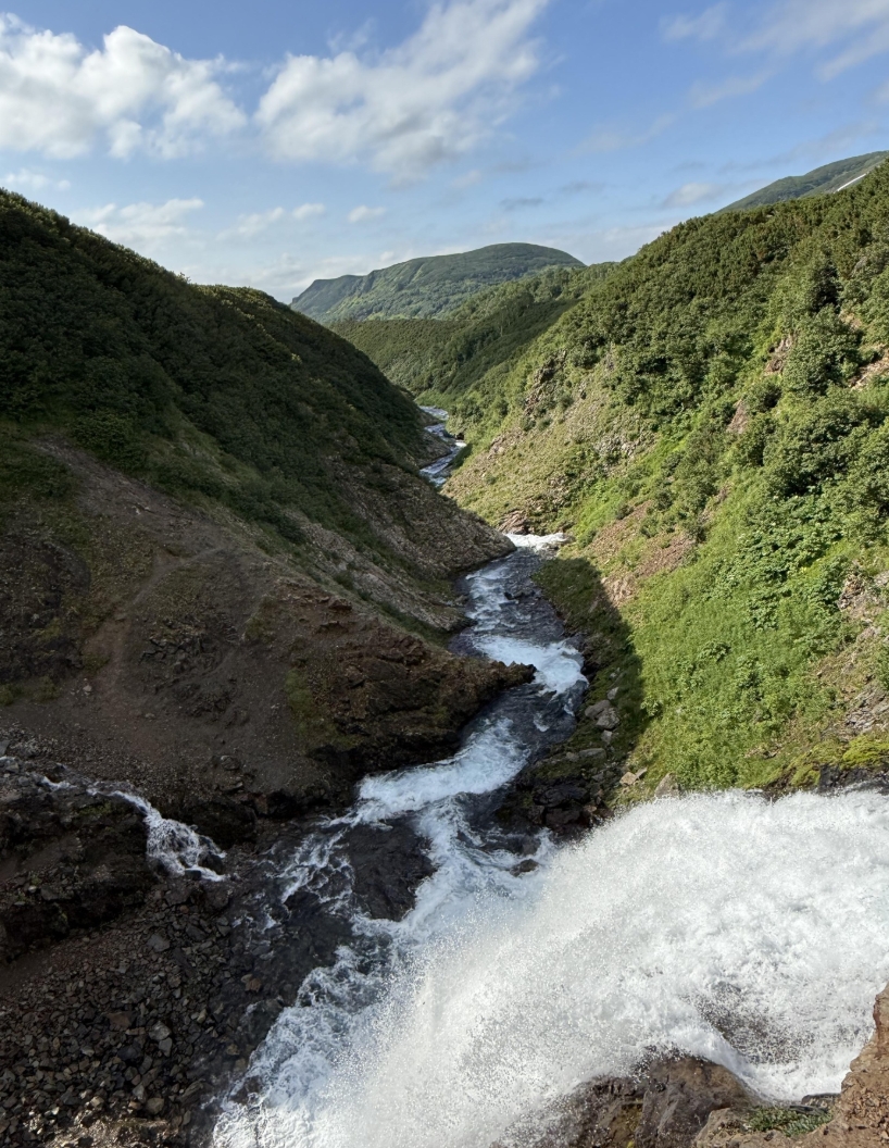 Фото организации