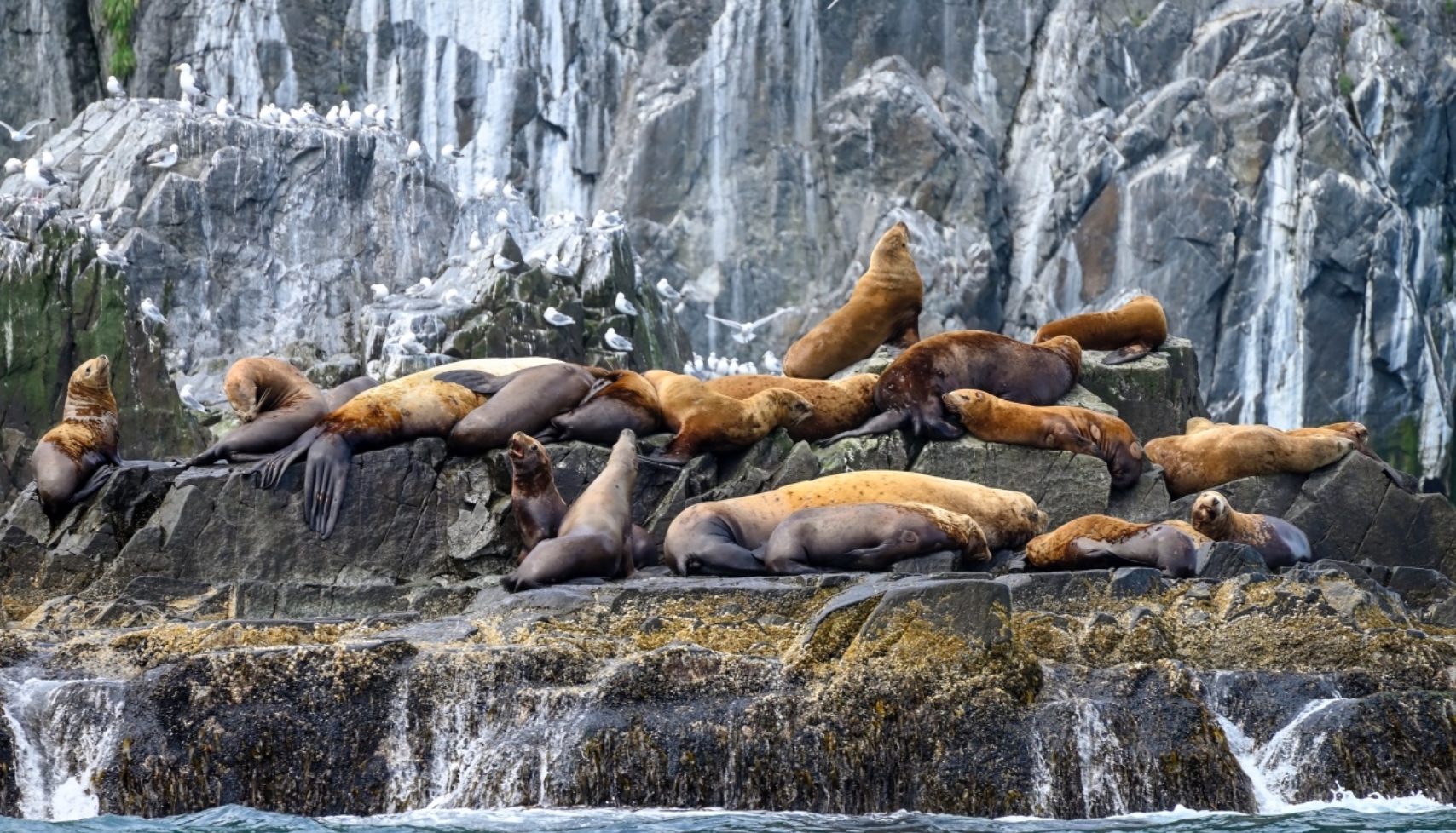 Фото организации